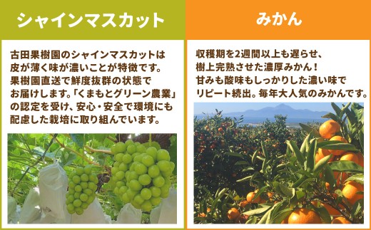 【年5回定期便】熊本県産品くまもとモン（熊本県産品）定期便（フルーツ編）寄附額10万円コース