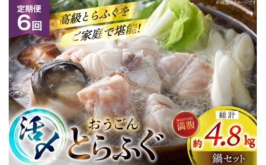 ふぐ 鍋 セット 活〆 おうごんとらふぐ 満腹 鍋セット 約800g 6回 定期便 総計 約4.8kg [松永水産 長崎県 平戸市 hr42bgy400188] とらふぐ フグ 河豚 てっちり ふぐちり ふぐ料理 魚介 さかな 切り身 冷凍 海鮮 ふぐ鍋 唐揚げ 2327820 - 長崎県平戸市