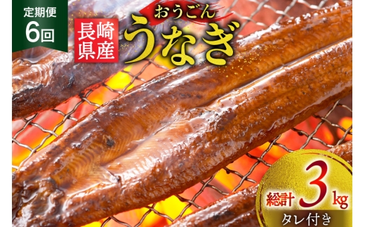 うなぎ 国産 蒲焼 長崎県産 おうごんうなぎ 約500g 3尾~4尾 6回 定期便 総計 約3kg [松永水産 長崎県 平戸市 hr42bgy400109] 鰻 うな重 うな丼 ひつまぶし 蒲焼き かばやき タレ付き 養殖 国内産 冷凍 unagi 2327796 - 長崎県平戸市