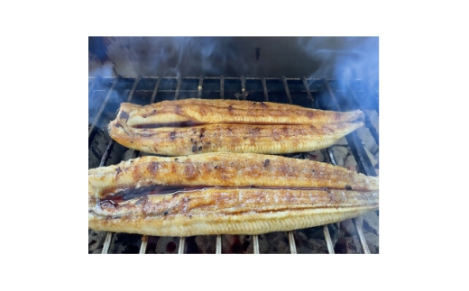 ＜国産うなぎ＞通常サイズ120g-140g　三河一色産　4尾　炭火蒲焼き(タレ付き)【1659372】