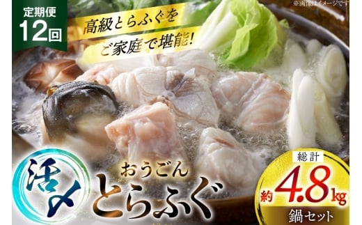 ふぐ 鍋 セット 活〆 おうごんとらふぐ 鍋セット 約400g 12回 定期便 総計 約4.8kg [松永水産 長崎県 平戸市 hr42bgy400160] とらふぐ フグ 河豚 てっちり ふぐちり ふぐ料理 魚介 さかな 切り身 冷凍 海鮮 ふぐ鍋 唐揚げ ポン酢 2327808 - 長崎県平戸市