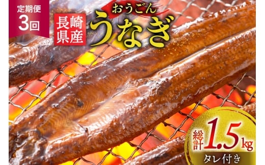 うなぎ 国産 蒲焼 長崎県産 おうごんうなぎ 約500g 3尾~4尾 3回 定期便 総計 約1.5kg [松永水産 長崎県 平戸市 hr42bgy400110] 鰻 うな重 うな丼 ひつまぶし 蒲焼き かばやき タレ付き 養殖 国内産 冷凍 unagi 2327797 - 長崎県平戸市