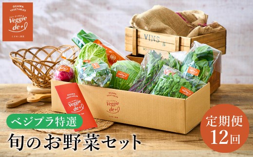 旬の新鮮なお野菜を産地直送！ベジプラ特選 旬の野菜セット【定期便：12回　毎月お届け】 / 野菜 詰め合わせ セット 野菜セット 新鮮 ギフト やさい 苦みが少ない 甘みが強い Veggie de＋ 2082634 - 兵庫県豊岡市