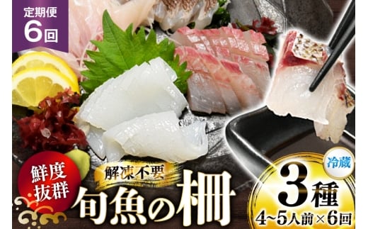 刺身 鮮魚 旬魚 の柵3種 セット （刺身2種＆ イカ 1種）（4～5人前） 6回 定期便 [舘浦漁業 長崎県 平戸市 hr42bgy420054] おつまみ 柵 冷蔵 新鮮 海鮮 盛り合わせ 旬 切るだけ 真空パック 2328153 - 長崎県平戸市