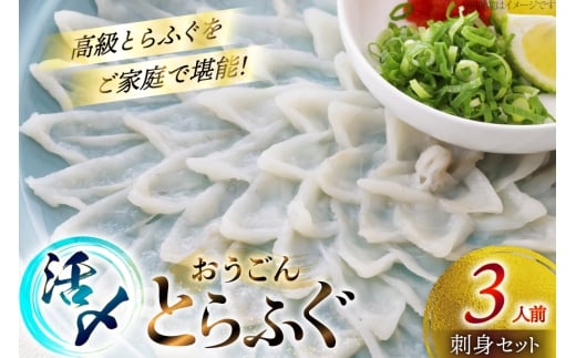 ふぐ 刺身 セット 活〆 おうごんとらふぐ 刺身セット 3人前 [松永水産 長崎県 平戸市 hr42bgy400156] ふぐ刺し とらふぐ フグ 河豚 てっさ 魚介 さかな お刺身 刺身用 さしみ 冷凍 湯引き 海鮮 切り身 2327804 - 長崎県平戸市