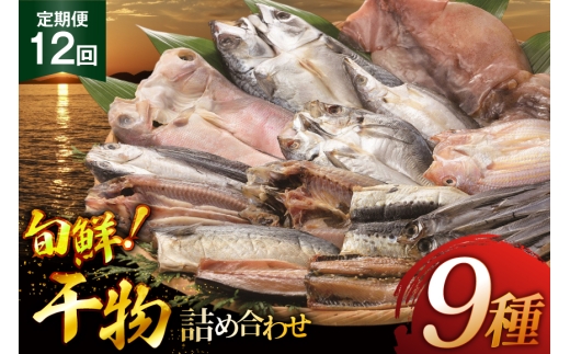 おつまみ イカ 旬魚 平戸 干物 9種 詰め合せ 定期便 12回 [森崎水産 長崎県 平戸市 hr42bgy410093] いか セット 詰合せ 干物 干物セット 一夜干し いかめし 冷凍 国産 ひもの 魚 定期 12ヶ月 2327904 - 長崎県平戸市