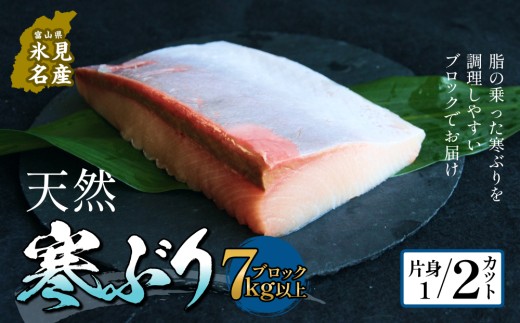 氷見産 天然寒ブリ 片身 １／2カット ブロック 釣屋魚問屋直営 ひみ岸壁市場