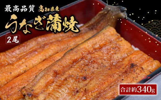 うなぎ蒲焼 約170g×2尾 高知県産 最高品質 合計約340g たれ 山椒 国産 鰻 かば焼 土佐焼  うな丼 うな重