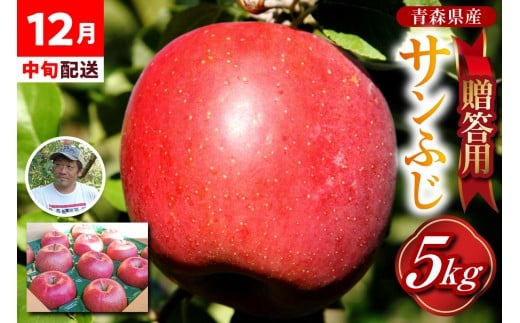 りんご　贈答用 【2025年12月中旬発送】 約 5kg サンふじ 五所川原 金賞受賞歴あり！（りんご品評会）【 青森りんご サンふじりんご リンゴ 林檎 青森 贈答 】