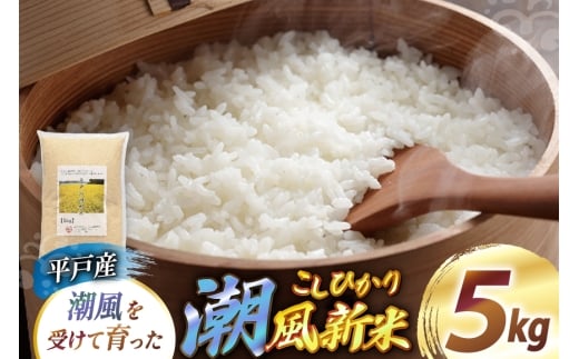 米 令和7年産 平戸産潮風新米 5kg [ひらど新鮮市場 長崎県 平戸市 hr42bgy400063] お米 ごはん 新米 白米 精米 国産 5キロ  こしひかり 2328211 - 長崎県平戸市