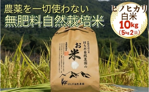 米 令和7年産 自然栽培米 ヒノヒカリ ＜農薬を一切使わない無肥料栽培＞精米（白米）10kg（5kg×2）　《京都丹波産 最高良食味 人気品種 精米仕立て》