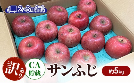 [№5554-0256]りんご 【2-3月クール便配送】 CA貯蔵 訳あり サンふじ 約 5kg リンゴ 果物 訳アリ 青森県 鶴田町