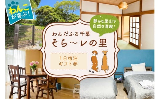 【一日宿泊券】 わんだふる千葉　そら～レの里　宿泊ギフト券 mi0123-0001 【 犬と宿泊 愛犬 わんこ 愛犬旅行 ペット専用 ペット ドックラン 旅行 チケット 宿泊 宿泊券 旅行券 ホテル 千葉 南房総市 】