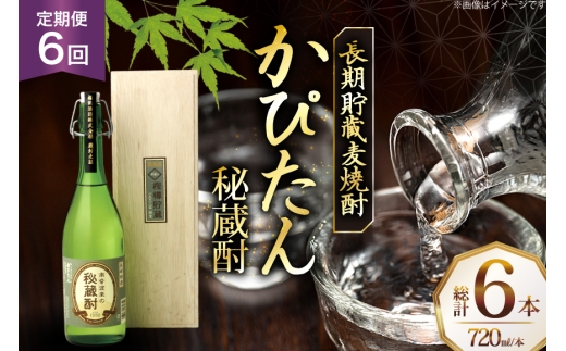 酒 焼酎 かぴたん 720ml 1本 6回 定期便 [福田酒造 長崎県 平戸市 hr42bgy410107] お酒 麦焼酎 長期貯蔵