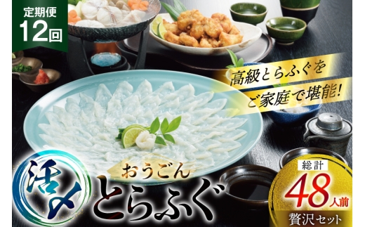 ふぐ 刺身 ふぐ鍋セット 活〆 おうごんとらふぐ 贅沢 セット 4人前 12回 定期便 [松永水産 長崎県 平戸市 hr42bgy400017] ふぐ刺し とらふぐ フグ 河豚 てっさ てっちり ふぐ鍋 湯引き 魚介 さかな お刺身 刺身用 さしみ 冷凍 海鮮 2327778 - 長崎県平戸市