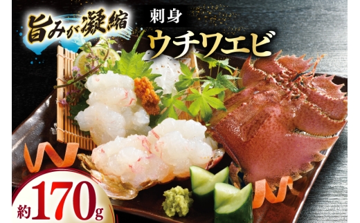 うちわえび エビ 海老 国産 刺し身 冷凍 ウチワエビ 刺身 約170g (ポン酢付) [ひばり 長崎県 平戸市 hr42bgy420060] 魚介 海鮮 海産物 セット 真空 真空パック お取り寄せ 2328136 - 長崎県平戸市