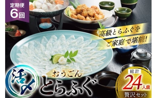 ふぐ 刺身 ふぐ鍋セット 活〆 おうごんとらふぐ 贅沢セット 4人前 6回 定期便 [松永水産 長崎県 平戸市 hr42bgy400073] ふぐ刺し とらふぐ フグ 河豚 てっさ てっちり ふぐ鍋 湯引き 魚介 さかな お刺身 刺身用 さしみ 冷凍 海鮮 2327792 - 長崎県平戸市
