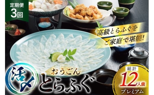 ふぐ 刺身 ふぐ鍋セット 活〆 おうごんとらふぐ プレミアム セット 4人前 3回 定期便 [松永水産 長崎県 平戸市 hr42bgy400150] ふぐ刺し とらふぐ フグ 河豚 てっさ てっちり ふぐ鍋 湯引き 魚介 さかな お刺身 刺身用 さしみ 冷凍 海鮮 2327800 - 長崎県平戸市