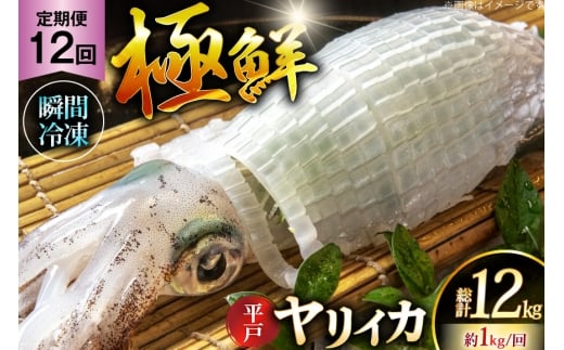 イカ 刺身 極鮮ヤリイカ 約1kg 12回 定期便 [海隆丸 長崎県 平戸市 hr42bgy400131] おつまみ ヤリイカ 新鮮 海鮮 魚介 瞬間冷凍 冷凍 コリコリ 直送 冷凍 個包装 真空パック 2327758 - 長崎県平戸市