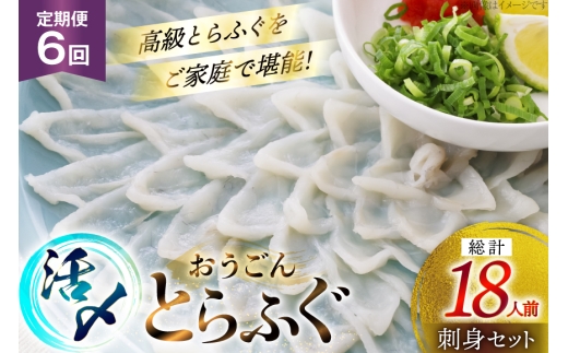 ふぐ 刺身 セット 活〆 おうごんとらふぐ 刺身セット 3人前 6回 定期便 [松永水産 長崎県 平戸市 hr42bgy400162] ふぐ刺し とらふぐ フグ 河豚 てっさ 魚介 さかな お刺身 刺身用 さしみ 冷凍 湯引き 海鮮 切り身 2327810 - 長崎県平戸市