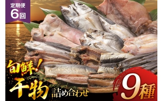 おつまみ イカ 旬魚 平戸 干物 9種 詰め合せ 定期便 6回 [森崎水産 長崎県 平戸市 hr42bgy410098] いか セット 詰合せ 干物 干物セット 一夜干し いかめし 冷凍 国産 ひもの 魚 定期 6ヶ月 2327906 - 長崎県平戸市