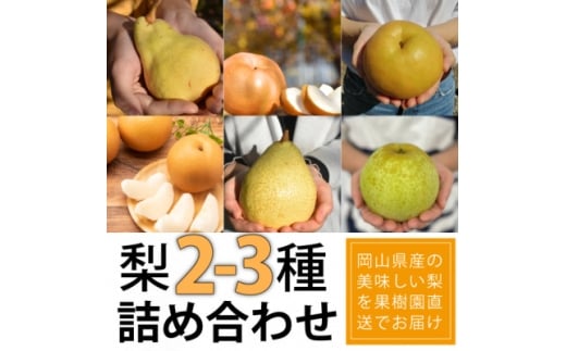 ＜きよとうファーム＞梨好きのための、梨2-3食べ比べ ご家庭用 5-7玉(岡山県産)【1559803】