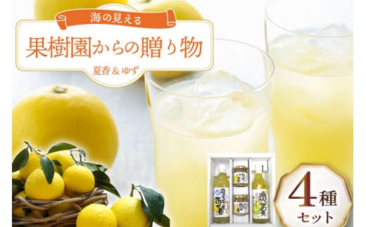 果物 オレンジ 果樹園からの贈り物 4種 セット [善果園 長崎県 平戸市 hr42bgy420171] みかん ジュース マーマレード ゆず茶 2328002 - 長崎県平戸市