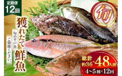 魚 海鮮 地魚 詰合せ4〜5種類 12回 定期便 [ひらど新鮮市場 長崎県 平戸市 hr42bgy400192] さかな 詰め合わせ 鮮魚 2328248 - 長崎県平戸市