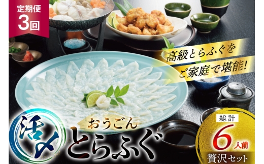 ふぐ 刺身 ふぐ鍋セット 活〆 おうごんとらふぐ 贅沢セット 2人前 3回 定期便 [松永水産 長崎県 平戸市 hr42bgy400072] ふぐ刺し とらふぐ フグ 河豚 てっさ てっちり ふぐ鍋 湯引き 魚介 さかな お刺身 刺身用 さしみ 冷凍 海鮮 2327791 - 長崎県平戸市