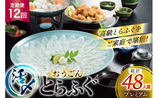 ふぐ 刺身 ふぐ鍋セット 活〆 おうごんとらふぐ プレミアム セット 4人前 12回 定期便 [松永水産 長崎県 平戸市 hr42bgy400152] ふぐ刺し とらふぐ フグ 河豚 てっさ てっちり ふぐ鍋 湯引き 魚介 さかな お刺身 刺身用 さしみ 冷凍 海鮮 2327802 - 長崎県平戸市