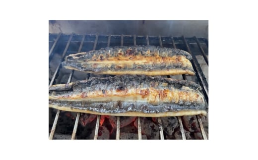 ＜国産うなぎ＞通常サイズ120g-140g　三河一色産　10尾　炭火蒲焼き(タレ付き)【1659375】