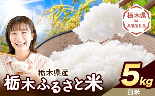 米 栃木 ふるさと米 白米 5kg《10月下旬から11月末頃出荷》栃木県 野木町 米 白米 精米 国産 お米 おこめ お弁当 おにぎり【栃木県共通返礼品】