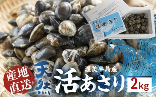 《先行予約》渥美産 旬の天然活あさり 2kg 先行予約 ふるさと納税 あさり 国産 ふるさと納税 アサリ 採れたて ふるさと納税 砂抜き 海鮮 魚介類 魚介 貝 送料無料 産地直送 応援 寄附
