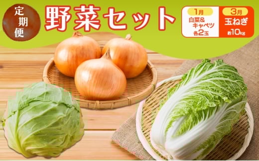 定期便 2回 野菜セット 1月(白菜 2玉・キャベツ 2玉)、3月(玉ねぎ 約10kg) セット ※配送不可：離島