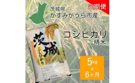 ＜毎月定期便＞茨城県かすみがうら市産 コシヒカリ 精米 5kg全6回【4075264】