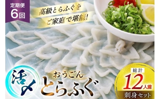 ふぐ 刺身 セット 活〆 おうごんとらふぐ 刺身セット 2人前 6回 定期便 [松永水産 長崎県 平戸市 hr42bgy400069] ふぐ刺し とらふぐ フグ 河豚 てっさ 魚介 さかな お刺身 刺身用 さしみ 冷凍 湯引き 海鮮 切り身 2327788 - 長崎県平戸市