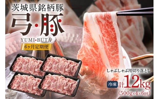 弓豚 6ヶ月【定期便】 しゃぶしゃぶ用 切り落とし 豚肉 真空パック 500g×4 冷凍便 小分け 国産 ブランド豚 銘柄豚 豚 国産豚 国産豚肉 ストック用 家庭用 おかず用 冷凍豚肉 茨城県 石岡市 【先行予約 2026年3月以降発送予定】 (C01-017)
