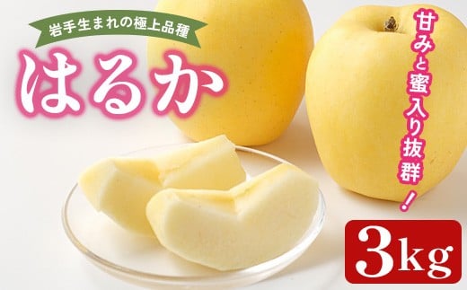 ＜先行予約！2025年12月頃から順次発送予定＞ りんご はるか 3kg 林檎 リンゴ ハルカ 果物 フルーツ 蜜入り 蜜 岩手県一関産 【道の駅かわさき】 ichinoseki01988