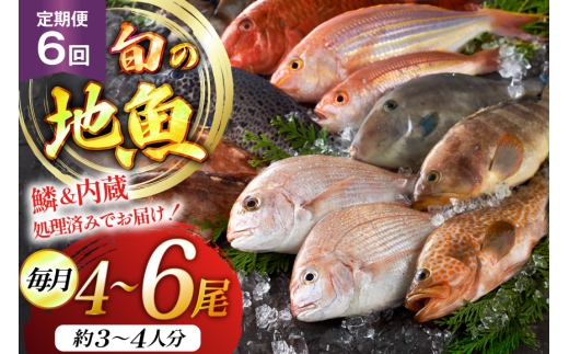 魚 海鮮 朝獲れ 地魚 詰合せ 4～6尾/回 6回 定期便 [平戸瀬戸市場 長崎県 平戸市 hr42bgy420374] さかな 詰め合わせ 鮮魚 2328201 - 長崎県平戸市
