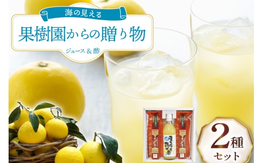 果物 オレンジ 果樹園からの贈り物 2種 セット [善果園 長崎県 平戸市 hr42bgy420172] みかん ジュース 夏香 美柑酢 2328003 - 長崎県平戸市