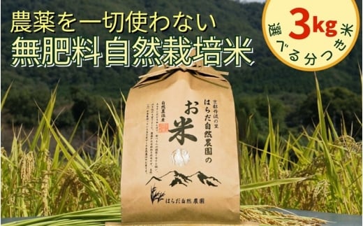 米 令和7年産 自然栽培米 ヒノヒカリ ＜農薬を一切使わない無肥料栽培＞精米（八分つき米）米3kg　《京都丹波産 最高良食味 人気品種 精米仕立て》
