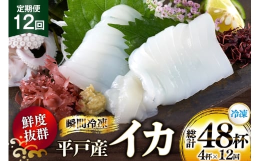海鮮 魚介 イカ 4杯 1パック（冷凍） 12回 定期便 [舘浦漁業 長崎県 平戸市 hr42bgy420351] おつまみ 新鮮 刺身 瞬間冷凍 冷凍 コリコリ 直送 冷凍 個包装 真空パック 2328161 - 長崎県平戸市