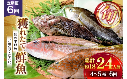 魚 海鮮 地魚 詰合せ4〜5種類 6回 定期便 [ひらど新鮮市場 長崎県 平戸市 hr42bgy400191] さかな 詰め合わせ 鮮魚 2328247 - 長崎県平戸市