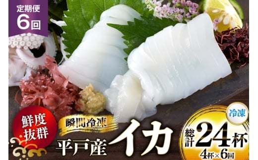 海鮮 魚介 イカ 4杯 1パック（冷凍） 6回 定期便 [舘浦漁業 長崎県 平戸市 hr42bgy420359] おつまみ 新鮮 刺身 瞬間冷凍 冷凍 コリコリ 直送 冷凍 個包装 真空パック 2328163 - 長崎県平戸市
