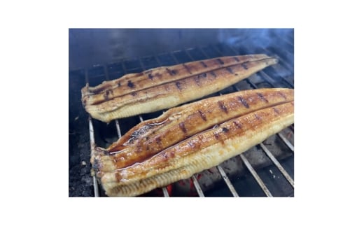 ＜国産うなぎ＞大サイズ140g -170g　三河一色産　2尾セット　炭火蒲焼き(タレ付き)【1659381】