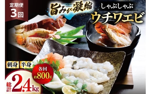うちわえび エビ 海老 刺身 しゃぶしゃぶ 海鮮 3回 定期便 ウチワエビ刺身 約400g・ウチワエビ半身 約400g セット 総計2.4kg [ひばり 長崎県 平戸市 hr42bgy420364] 鍋 魚介 海産物 刺し身 冷凍 新鮮 国産 お取り寄せ 2328148 - 長崎県平戸市