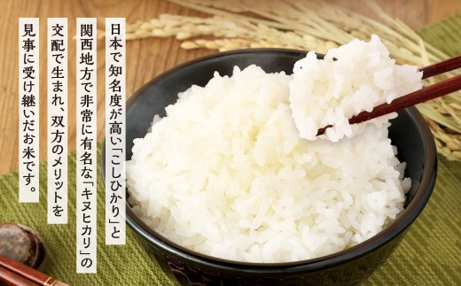 【3ヶ月定期便】 精米 食味鑑定士厳選 夢つくし 10kg（5kg×2袋）×3ヶ月