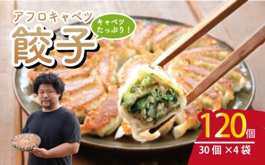 餃子 120個 きゃべつ 餃子 ぎょうざ ギョーザ 肉 汁 豚肉 国産 食品 小分け 大容量 キャンプ 野菜 やさい 弁当 惣菜 おかず おつまみ 冷凍餃子 冷凍ギョーザ 冷凍 冷凍食品 点心 鶏肉 豚肉 野菜 簡単調理 贈答 贈り物 プレゼント ギフト お取り寄せ グルメ おいしい 家庭用 中華 送料無料 ふるさと納税 ふるさと納税ぎょうざ ふるさと納税餃子 千葉県 銚子市 くるくるやっほー 