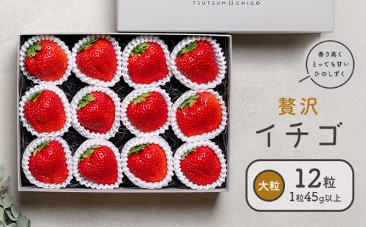 贅沢イチゴ ひのしずく 約260g×2パック 約45g×12玉 いちご イチゴ 苺《2026年2月発送予定》ヴァリアス株式会社 果物 くだもの フルーツ 希少 ギフト プレゼント 贈り物 国産 九州産 熊本県 菊池市 送料無料 1084438 - 熊本県菊池市