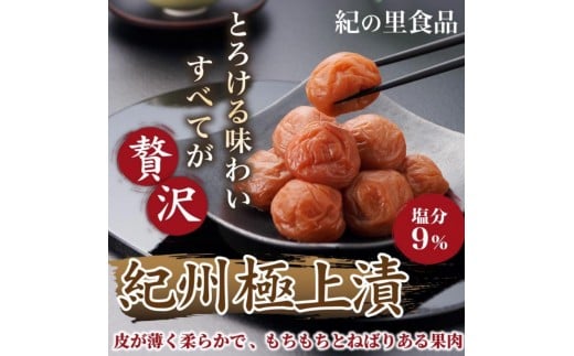 紀州南高梅 紀州極上漬 500g［Kn14］ 2326569 - 和歌山県印南町